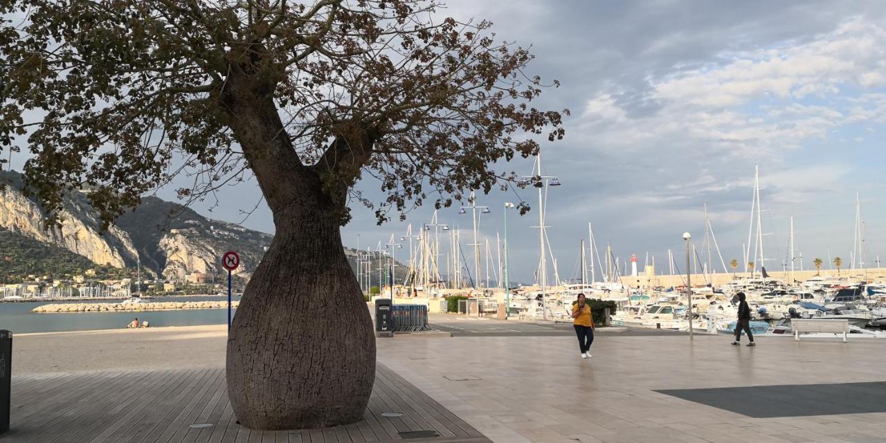 Joli Studio Dans Le Coeur De Menton Eksteriør billede